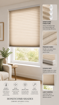 blinds test 2 videos 1 minutes